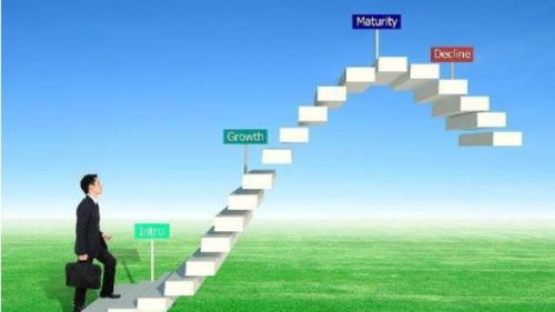 深圳品牌策劃與營(yíng)銷(xiāo) 市場(chǎng)動(dòng)態(tài)與專(zhuān)業(yè)機(jī)構(gòu)的優(yōu)勢(shì)解析