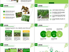 2018年“互聯(lián)網(wǎng)+農(nóng)副產(chǎn)品”市場(chǎng)推廣企業(yè)營(yíng)銷(xiāo)策劃案模板與素材指南